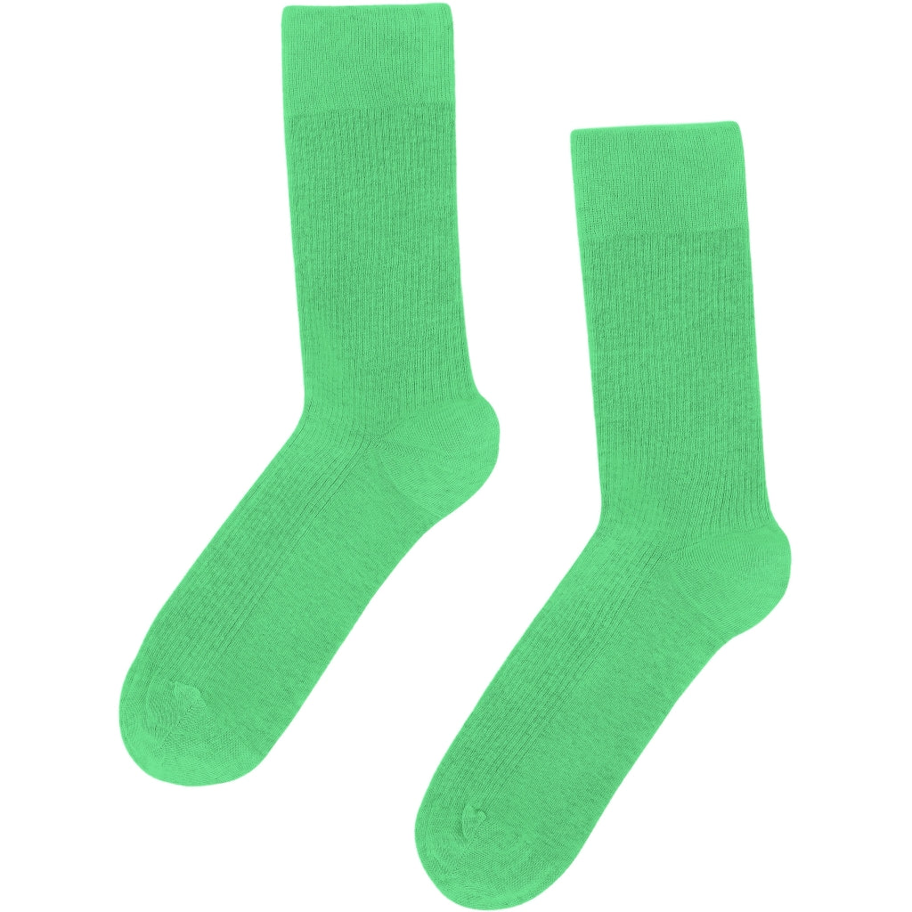 COLORFUL STANDARD - SOCKS - WOMEN