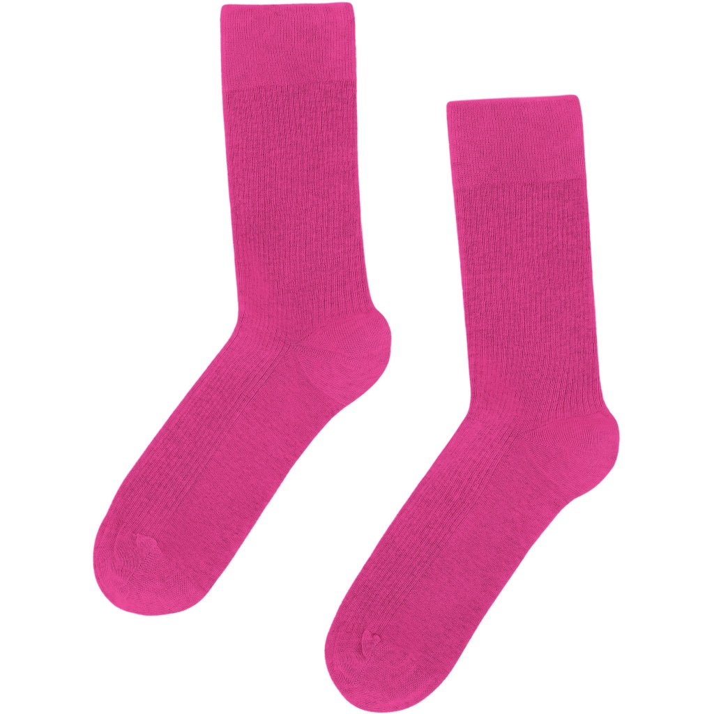 COLORFUL STANDARD - SOCKS - MEN