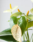 THIS ILK - ANTHURIUM EARRINGS - SMALL